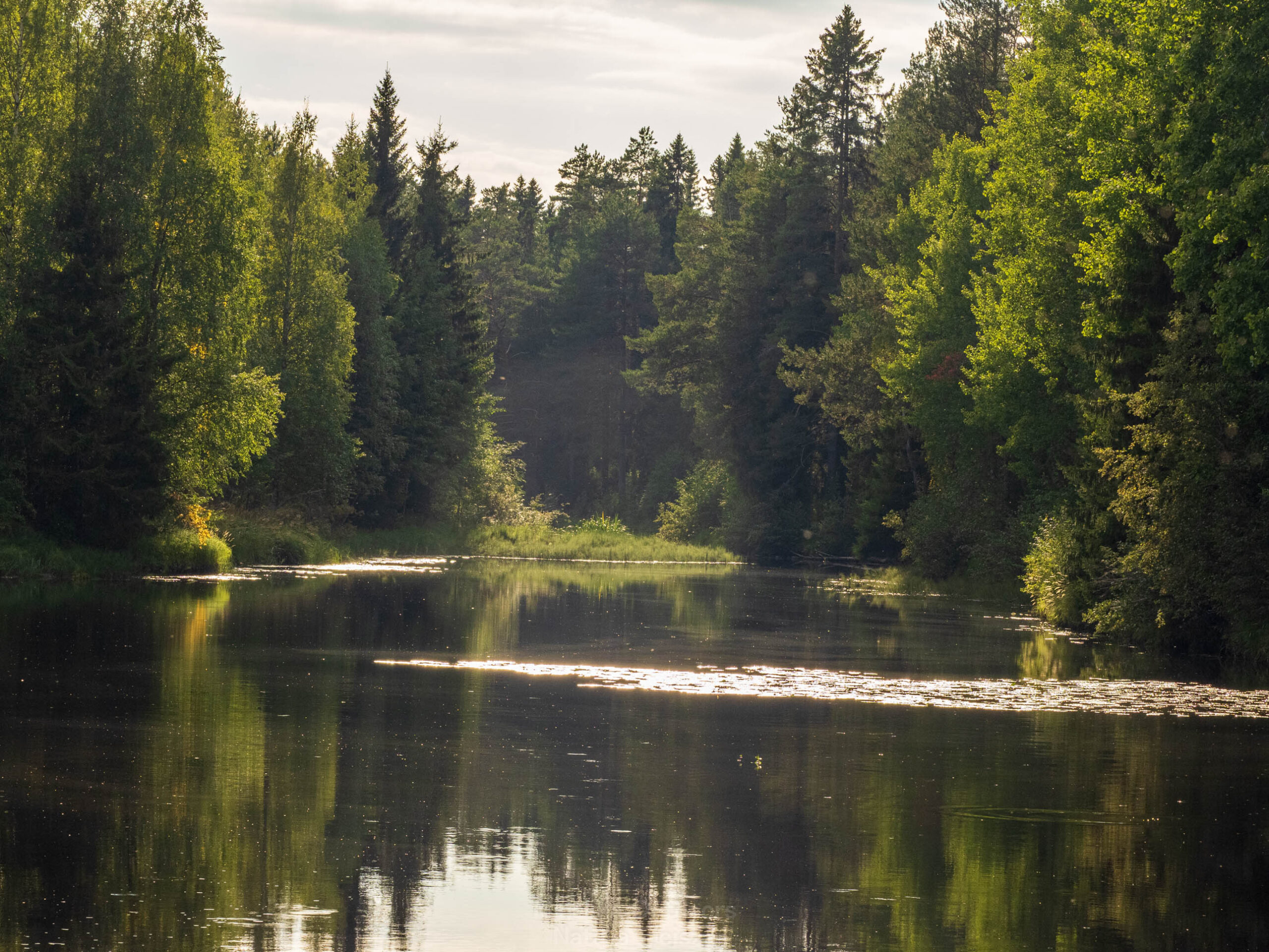 Trip to Sangijoki Nature Reserve 29. August 2025